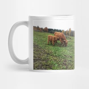 Scottish Highland Cattle Cow and Calf 1832 Mug